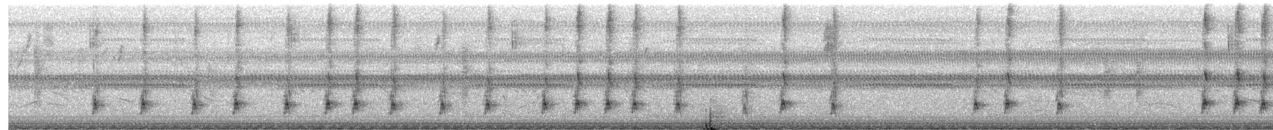 Копетон блідий - ML646420622