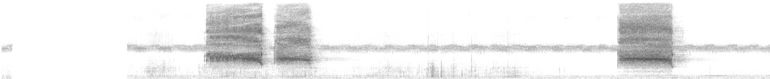 American Barn Owl - ML646420704