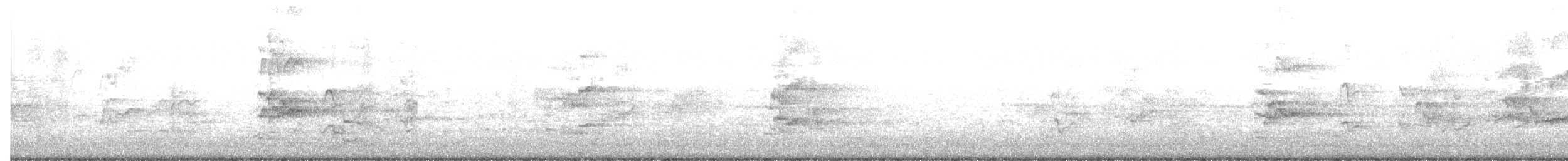 彩虹吸蜜鸚鵡 - ML646420767