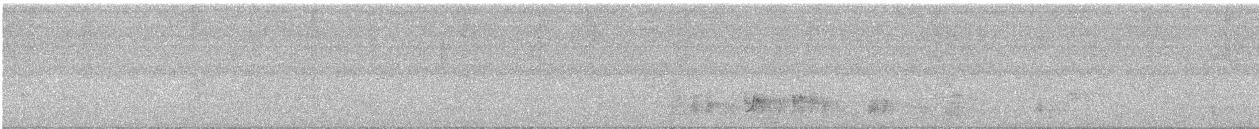 Rufous-backed Wren - ML646420804