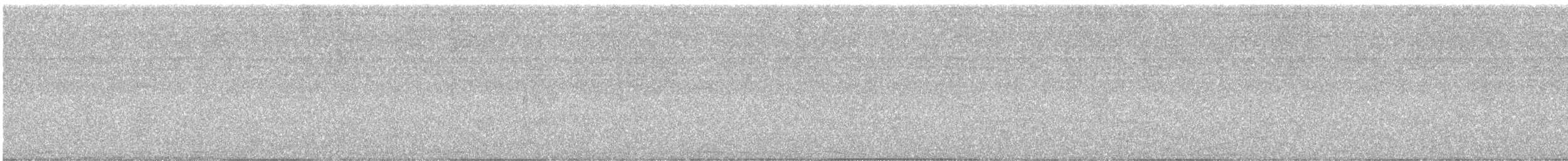 Social Flycatcher - ML646420882