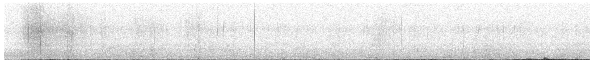 Pacific Wren - ML646420934