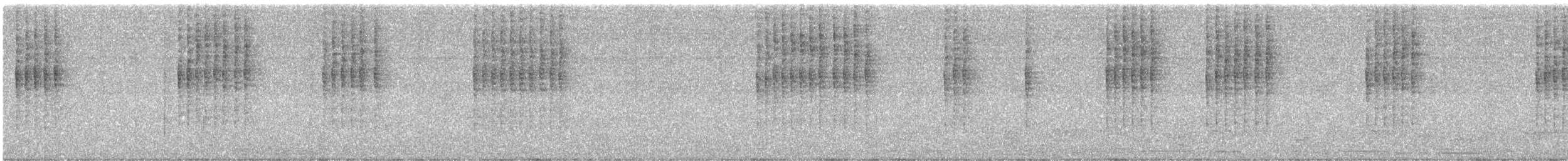 Banded Wren - ML646420978