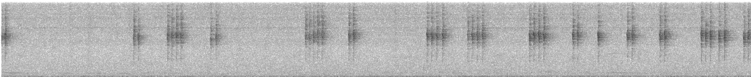 Поплітник коста-риканський - ML646420999