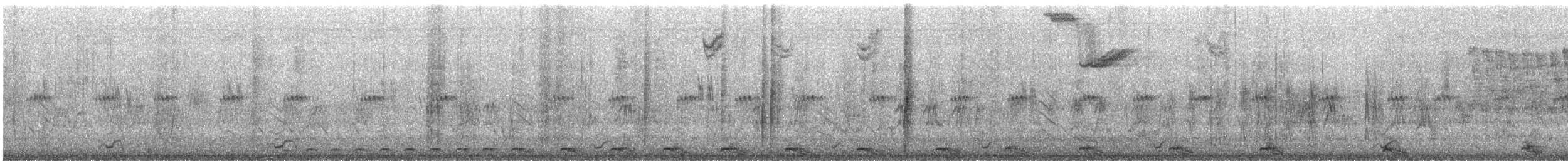 טבלן עקוד-מקור - ML646421357