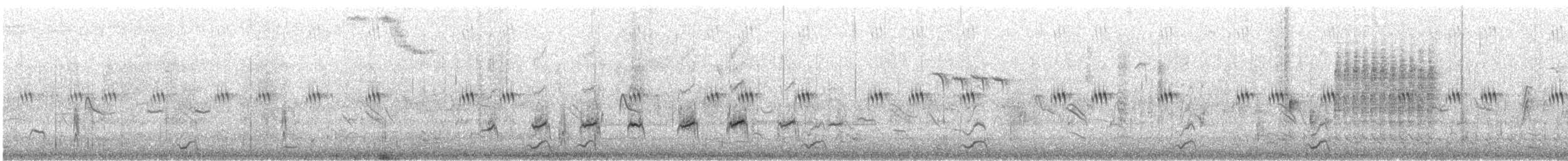 טבלן עקוד-מקור - ML646421358