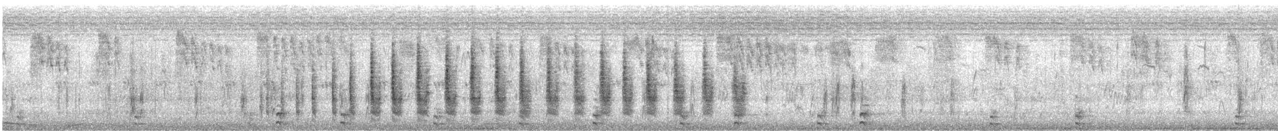סופית אמריקנית - ML646421369