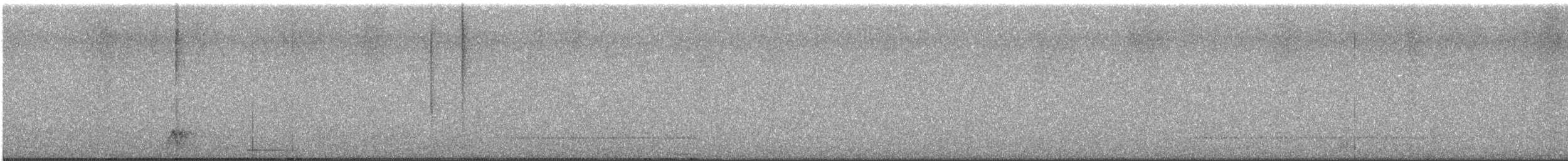 Mexican Whip-poor-will - ML646421623