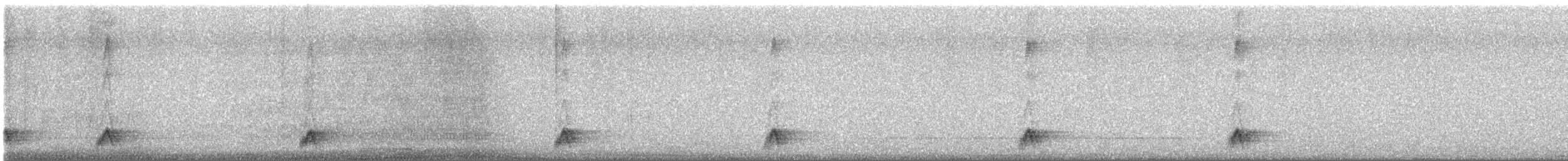 Mexican Whip-poor-will - ML646421626