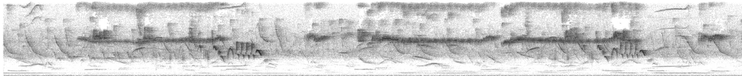 Tropical Kingbird - ML646421735