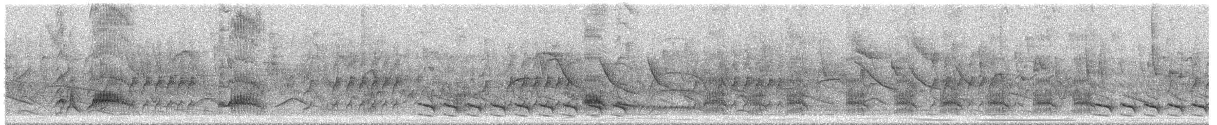 Swainson's Flycatcher - ML646421770