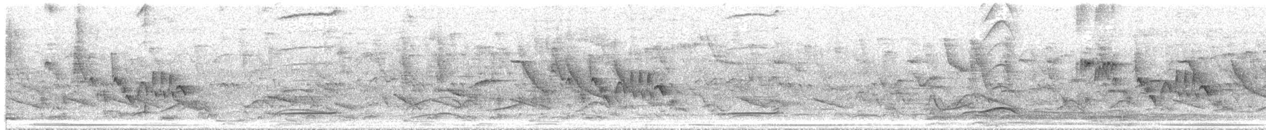 Swainson's Flycatcher - ML646421771