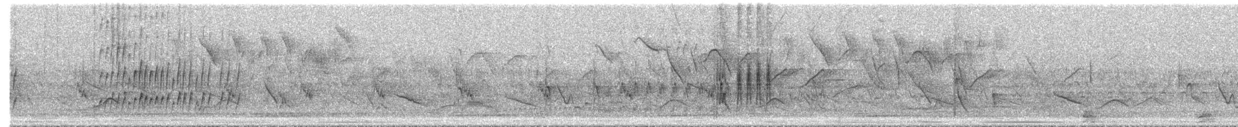 Small-billed Elaenia - ML646421792