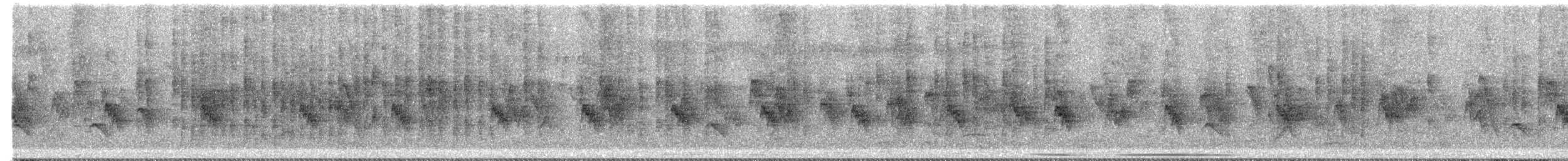 House Sparrow - ML646421837