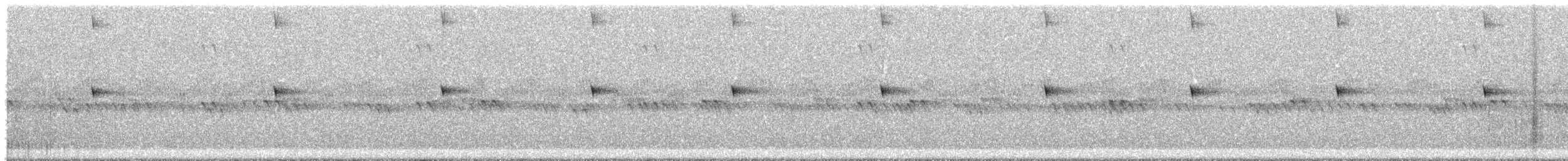 Scissor-tailed Nightjar - ML646421930