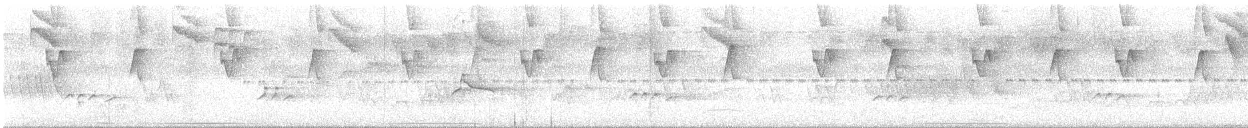 Scale-throated Hermit - ML646422146