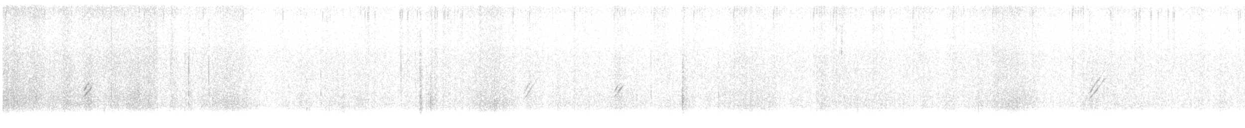 rosy-finch sp. - ML646422201