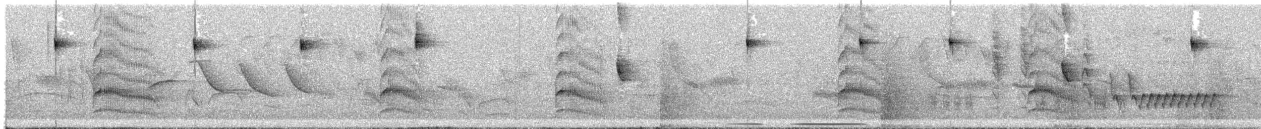 White Woodpecker - ML646422589