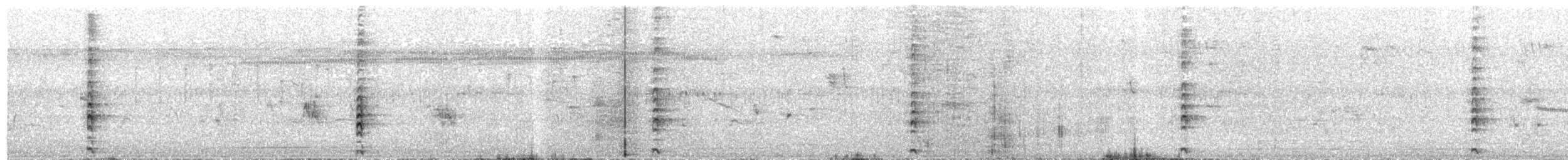 Uroilo amerikarra - ML646422604