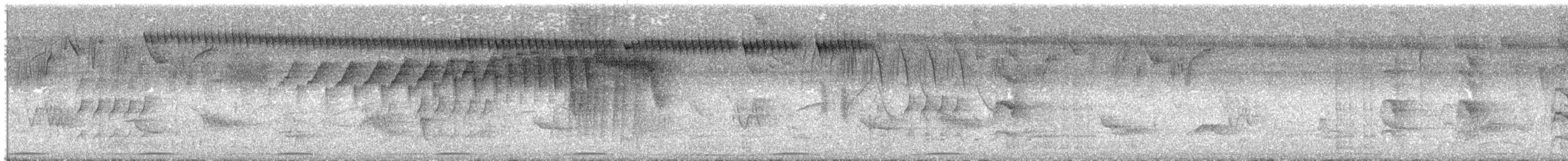 Gilded Hummingbird - ML646422649