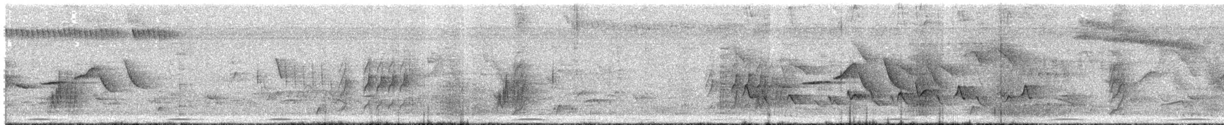 Olivaceous Elaenia - ML646422770