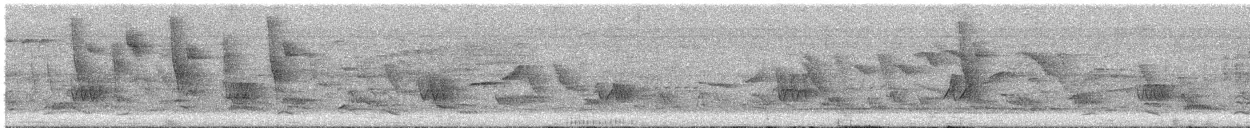 Chivi Vireo - ML646422857