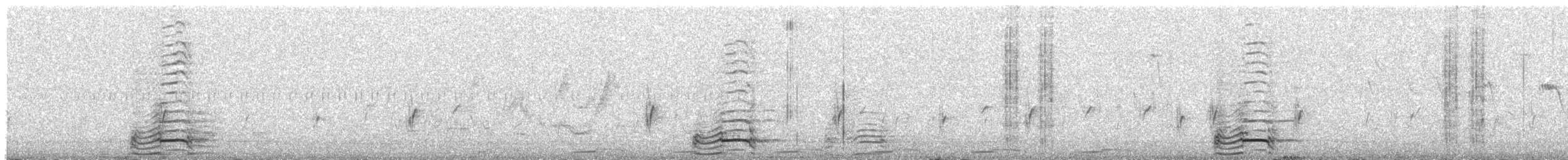 čája obojková - ML646422886