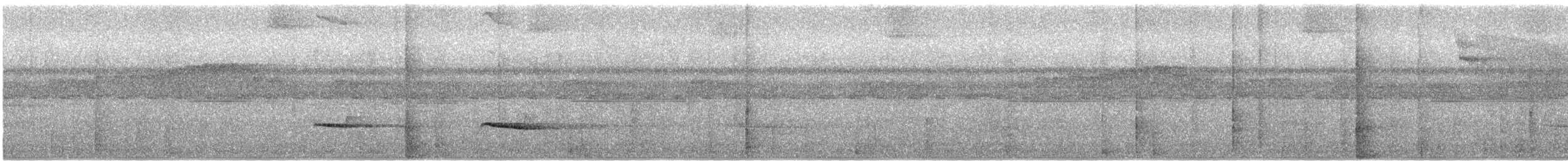 Chestnut-backed Antbird - ML646422899