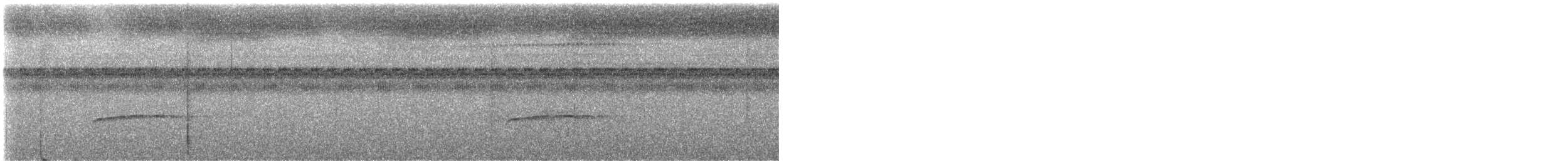 Western Wood-Pewee - ML646423030