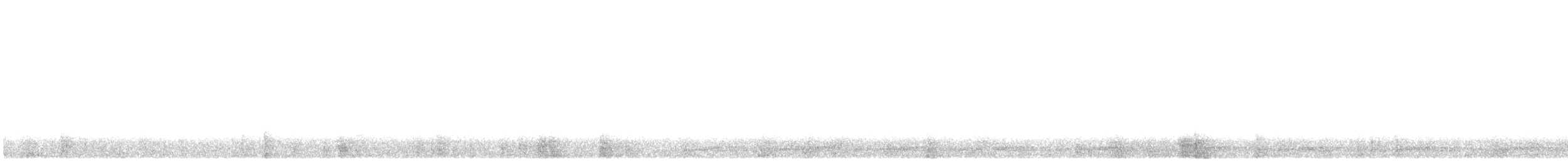 křepel mramorovaný - ML646423054