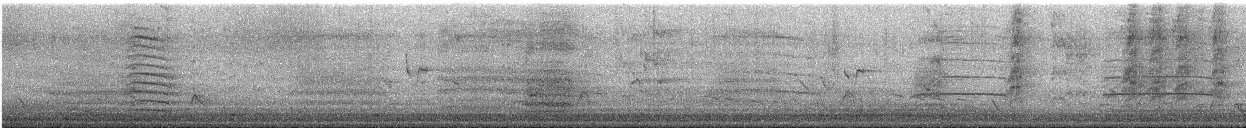 kakadu havraní - ML646423589