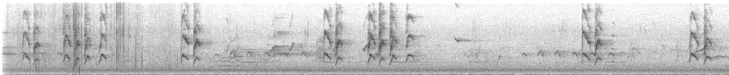 rosela zpěvavá - ML646423856