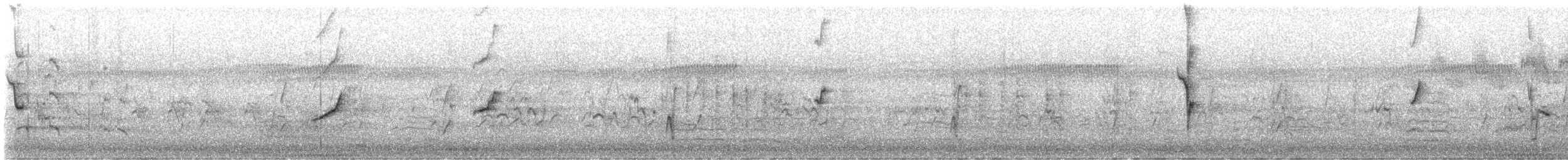 rosela zpěvavá - ML646424068