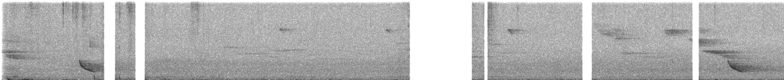 květozob indomalajský - ML646424243