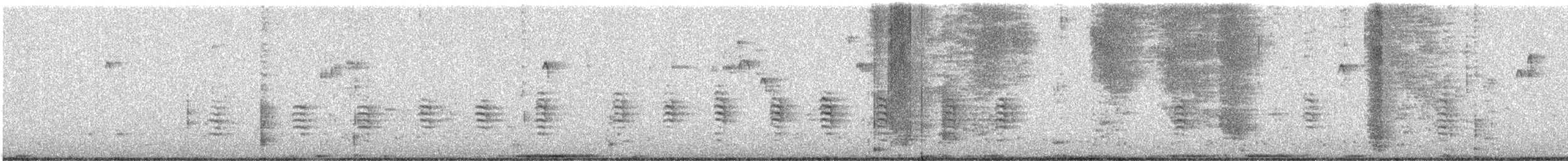 brhlík americký - ML646424372