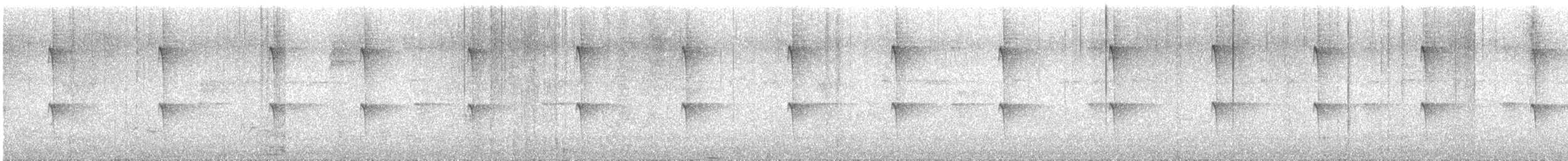 kolibřík tyrkysový - ML646424406