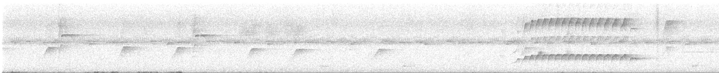 Gray-hooded Attila - ML646424418