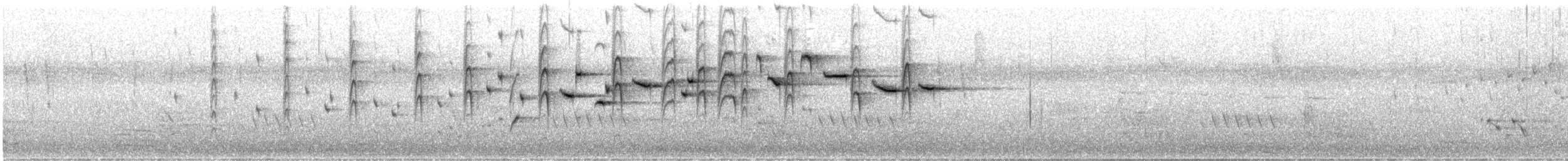 Gray Fantail - ML646424461