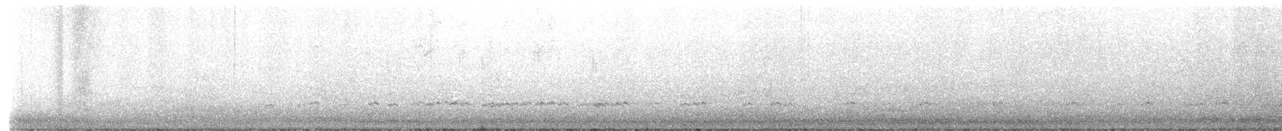 čírka obecná - ML646424633