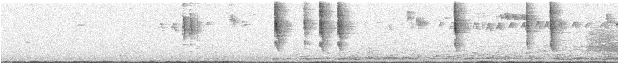střízlík pacifický - ML646424673
