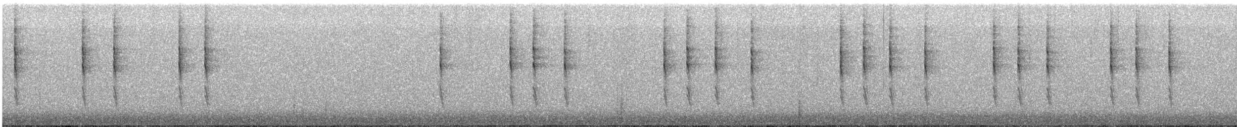 Pacific Wren - ML646424902