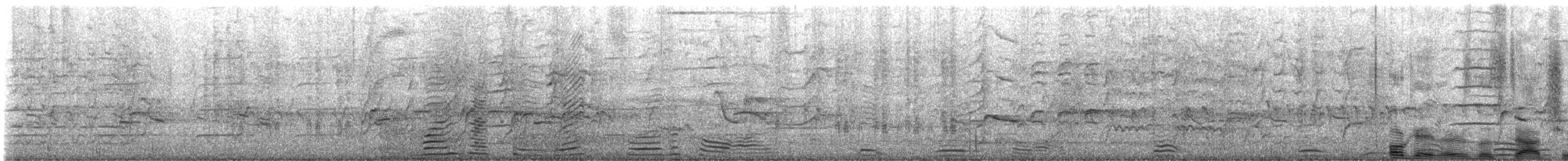 Большехвостый гракл - ML646424934