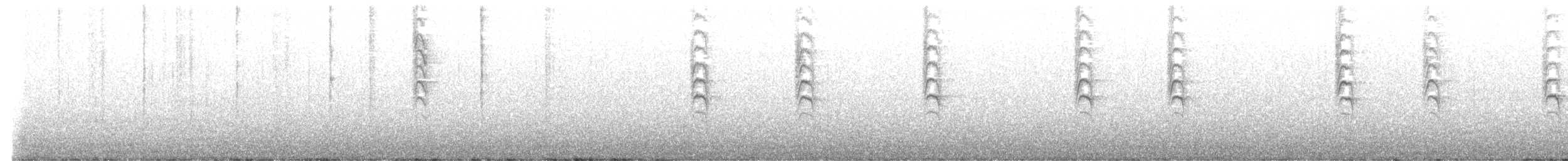 Новозеландская веерохвостка - ML646425029