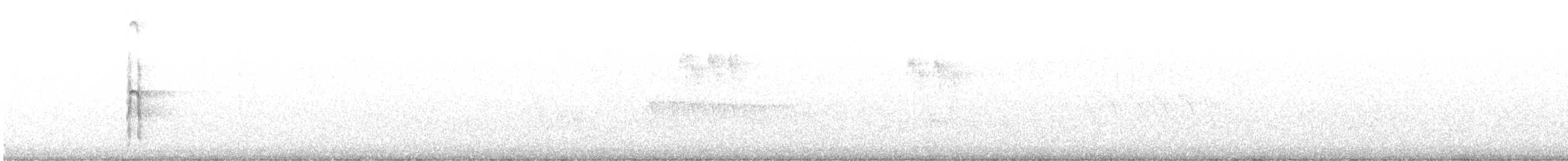 Волосатый дятел [группа harrisi] - ML646425654