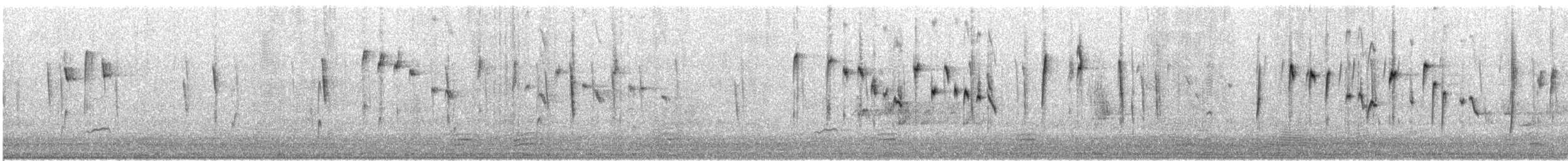 Шиподзьоб жовтогузий - ML646425890