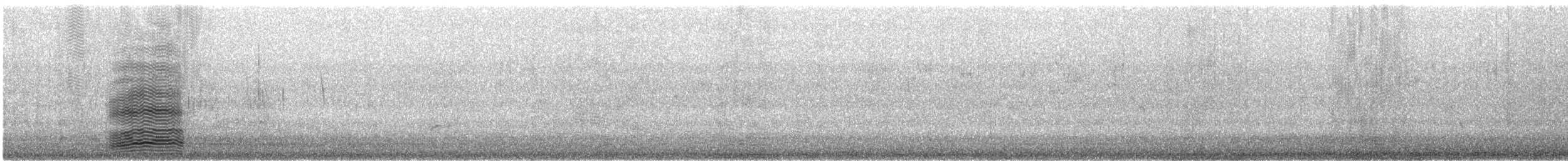 Крук австралійський - ML646425898