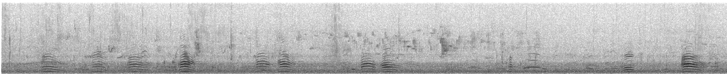 Галагаз австралійський - ML646425905