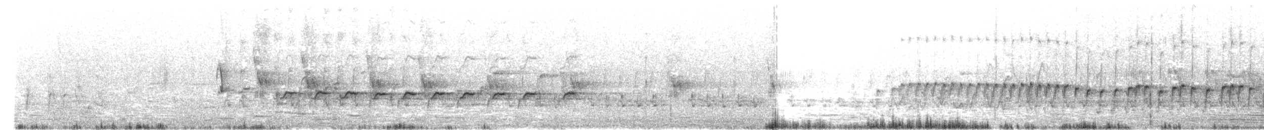 White-winged Triller - ML646425959