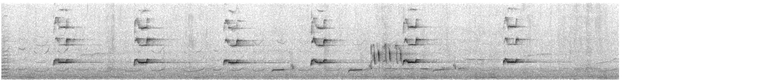 Magpie-lark - ML646426096