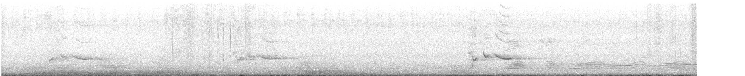 Сорочиця чорновола - ML646426165